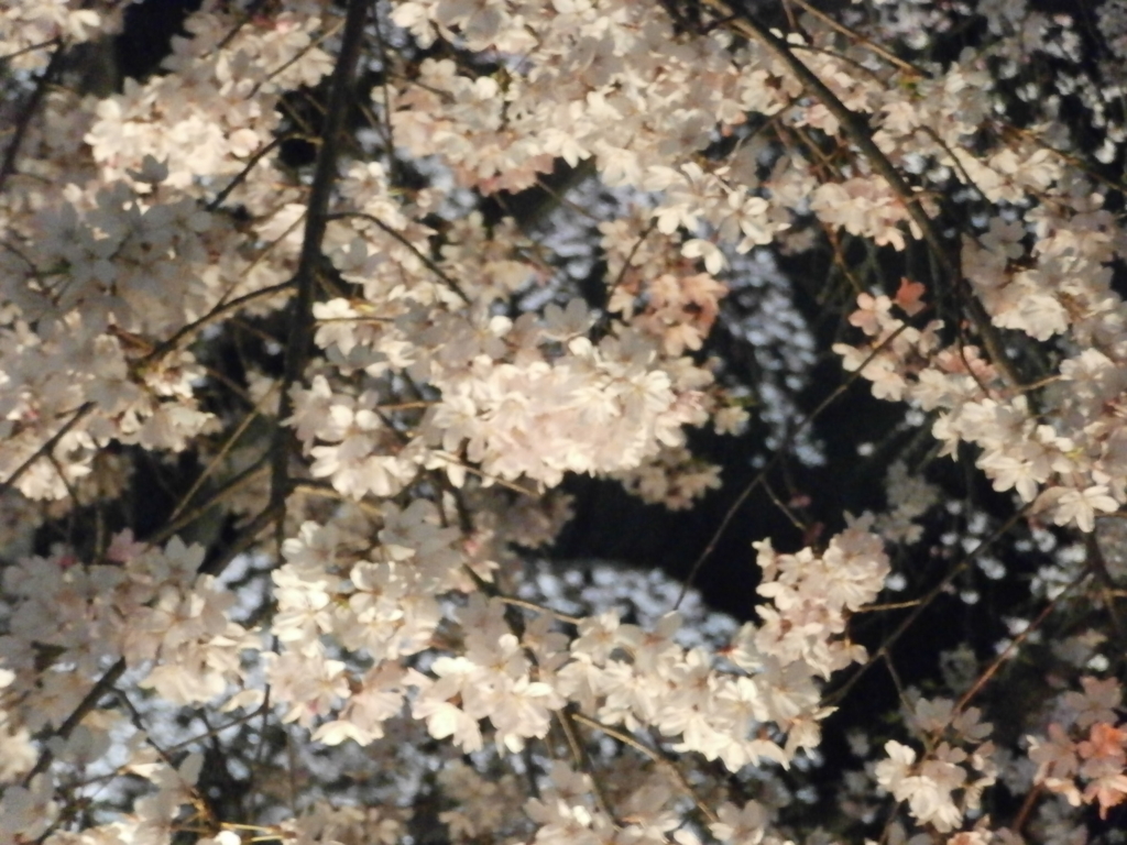 f:id:take--chan:20160329234154j:plain