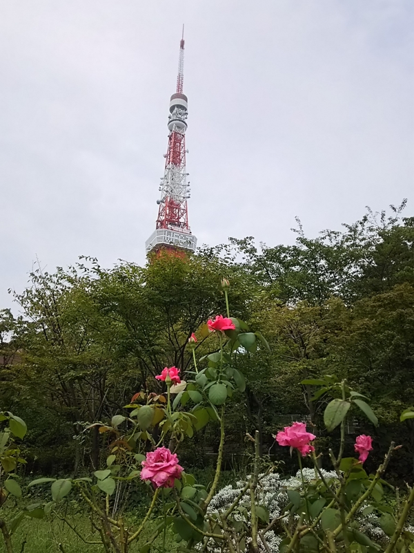 f:id:take--chan:20160927233947j:plain