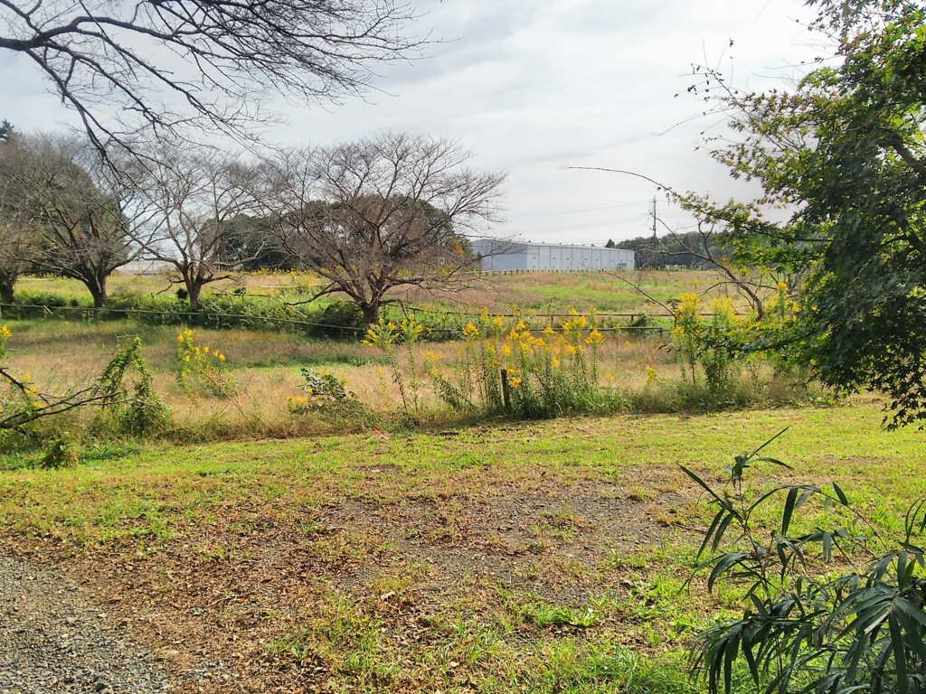 f:id:take--chan:20161027010031j:plain