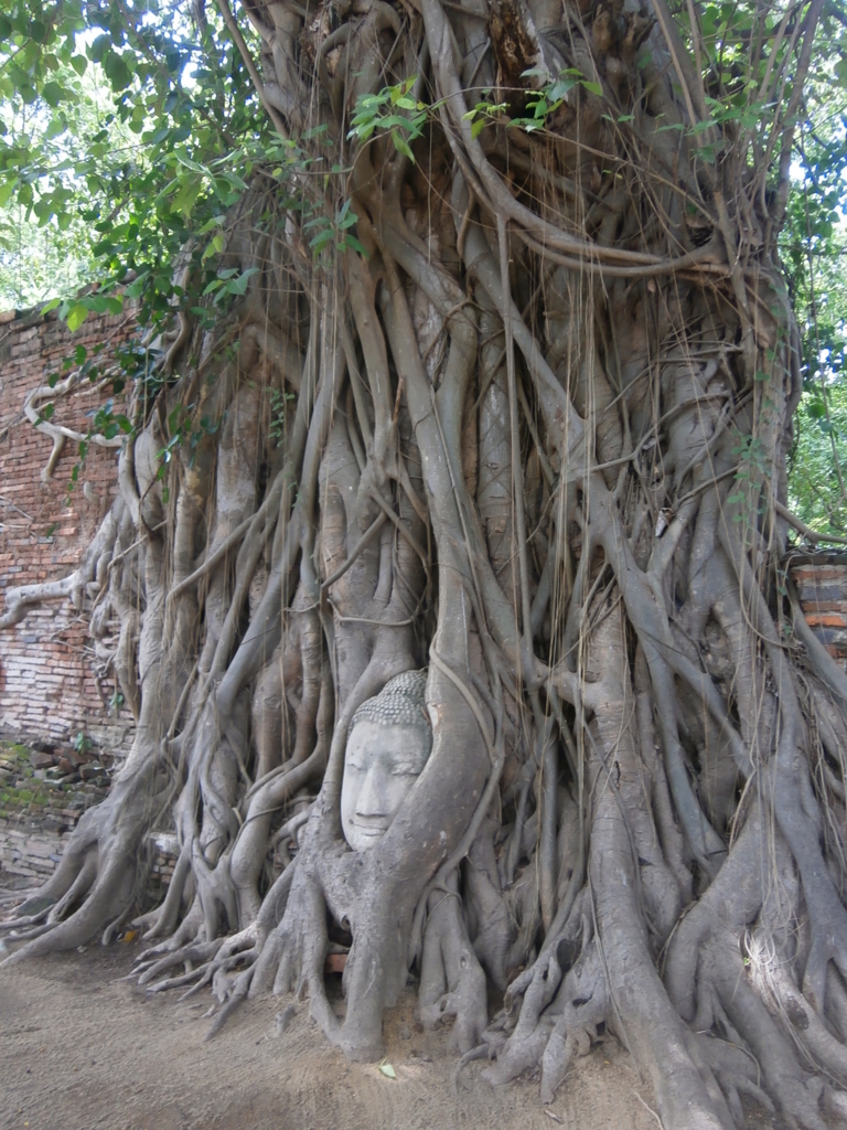 f:id:take--chan:20161106171806j:plain