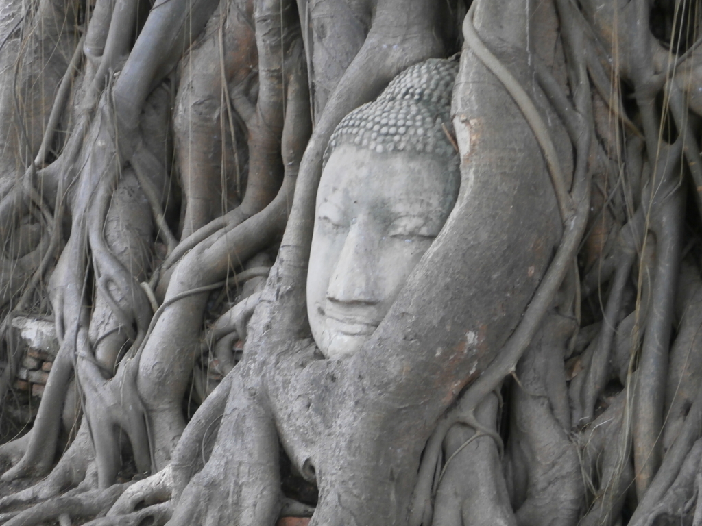 f:id:take--chan:20161106171813j:plain