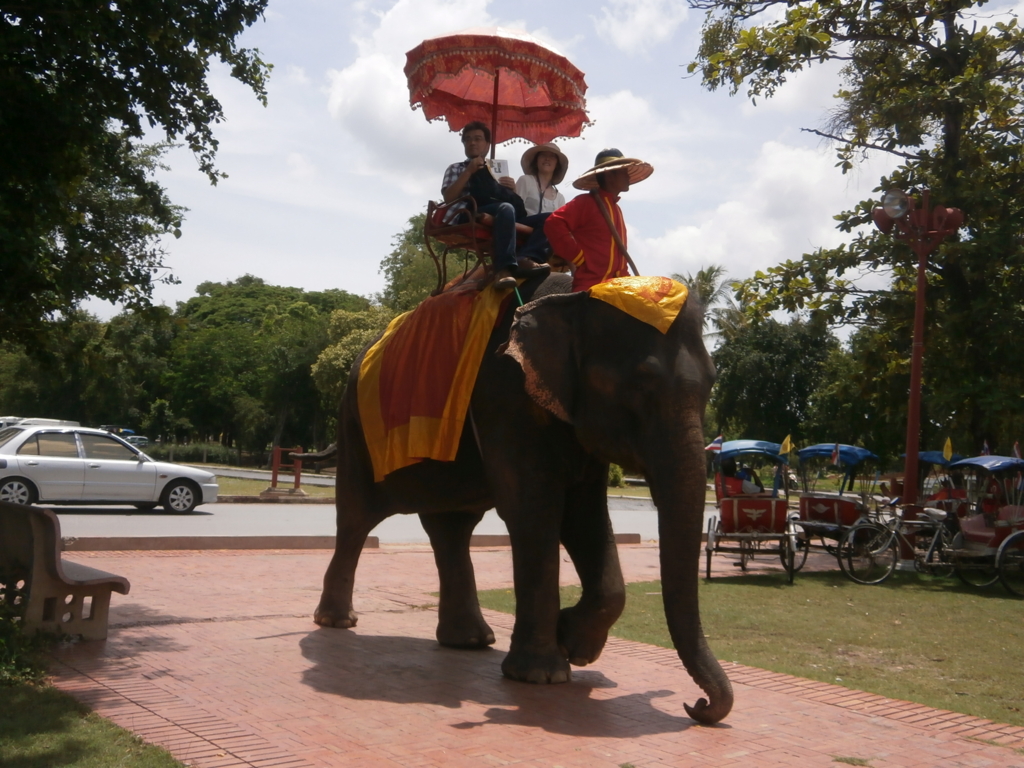 f:id:take--chan:20161106171904j:plain