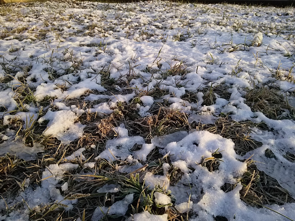 f:id:take--chan:20161126124722j:plain