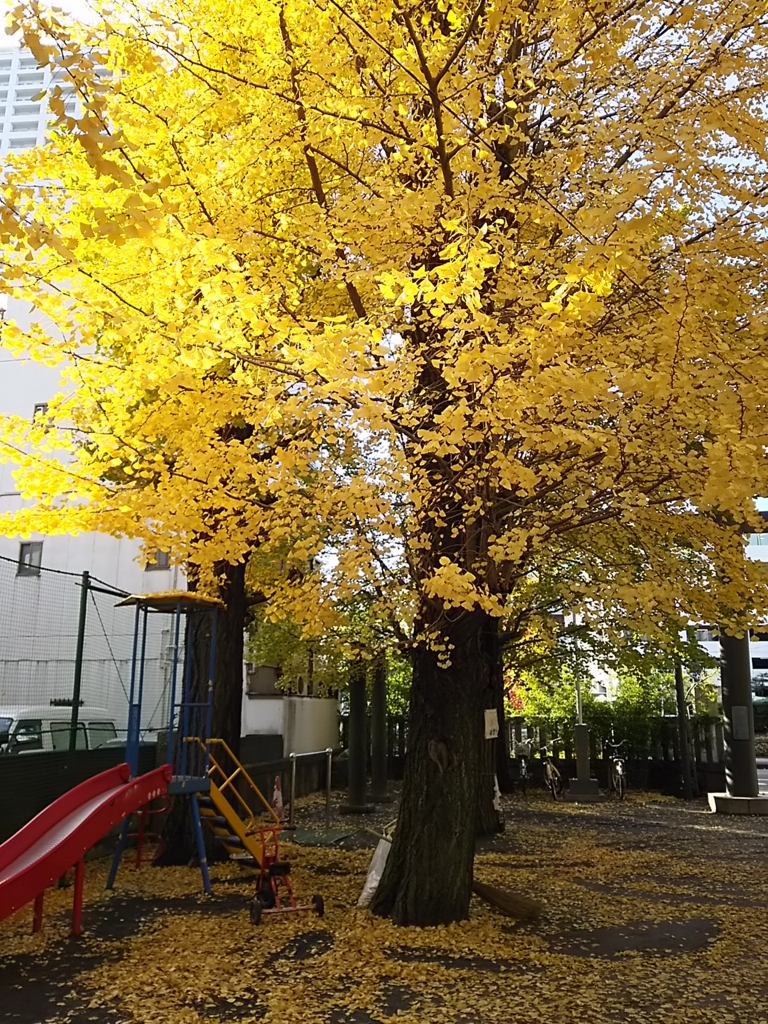 f:id:take--chan:20161126124849j:plain