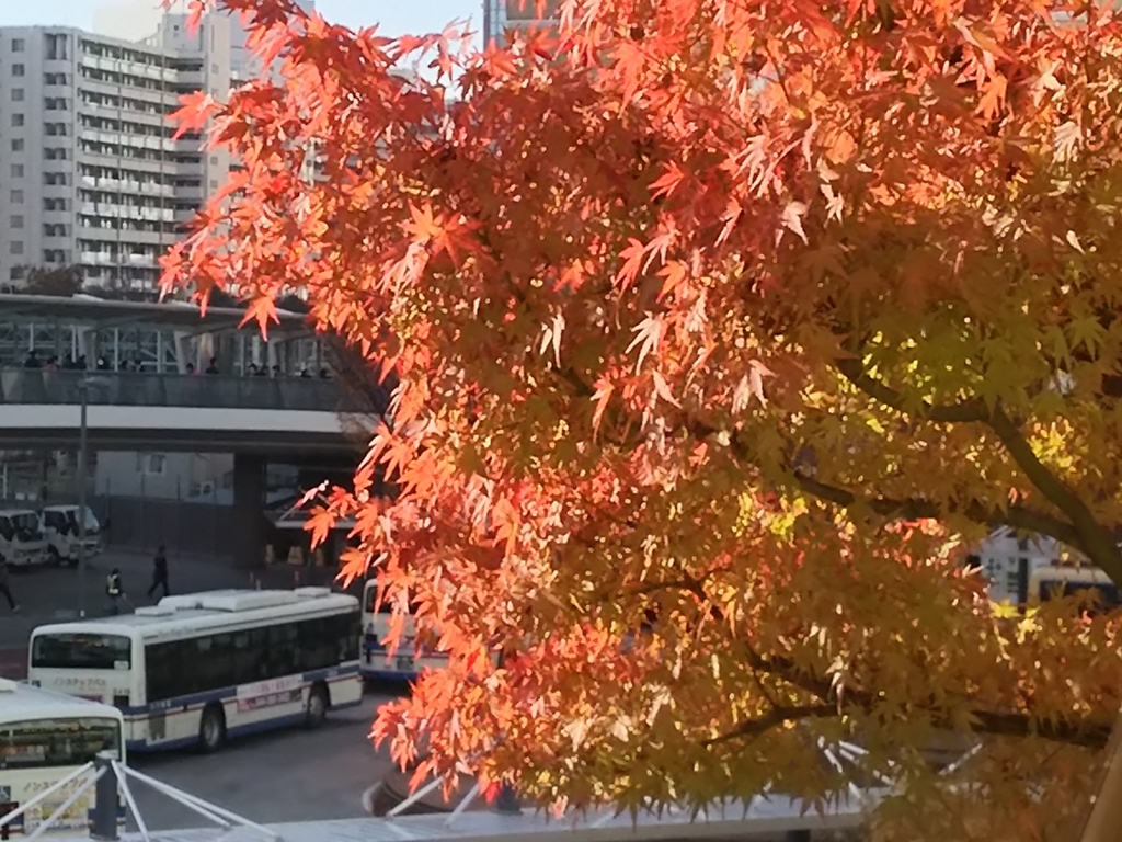 f:id:take--chan:20161126125000j:plain