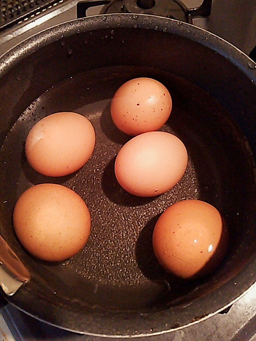 レシピ おせち料理用 錦玉子と黒豆 今日のごはんは何にしようかな