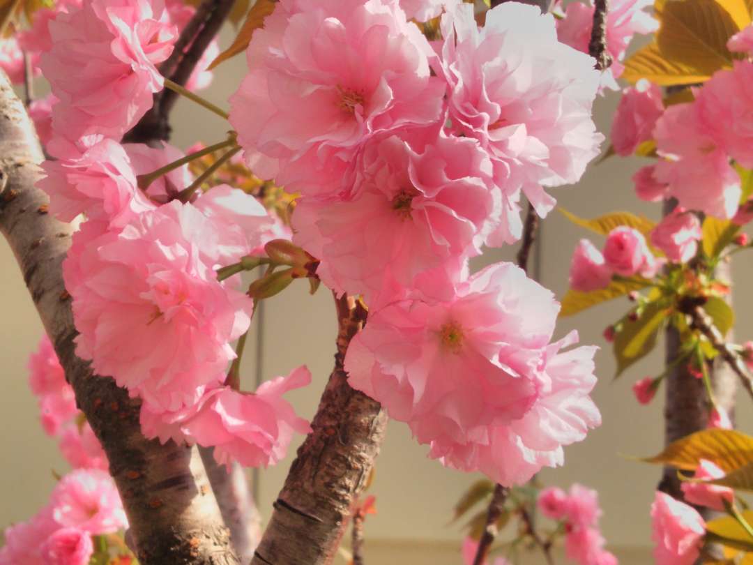 f:id:take--chan:20180407001133j:plain f:id:take--chan:20180407001133j:plain