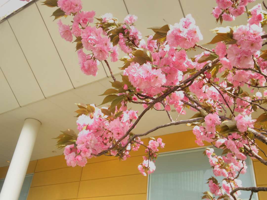 f:id:take--chan:20180407001135j:plain f:id:take--chan:20180407001135j:plain