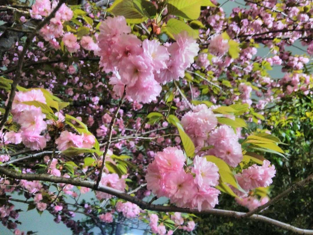 f:id:take--chan:20180407001138j:plain f:id:take--chan:20180407001138j:plain