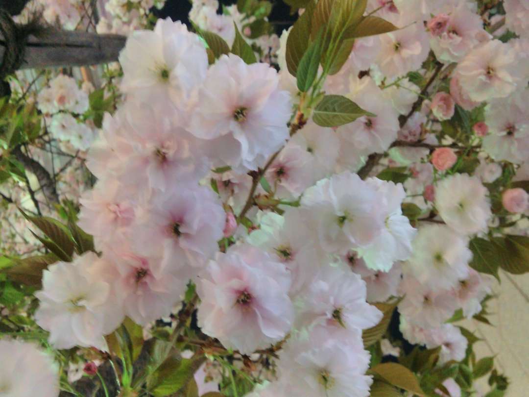 f:id:take--chan:20180407001143j:plain f:id:take--chan:20180407001143j:plain