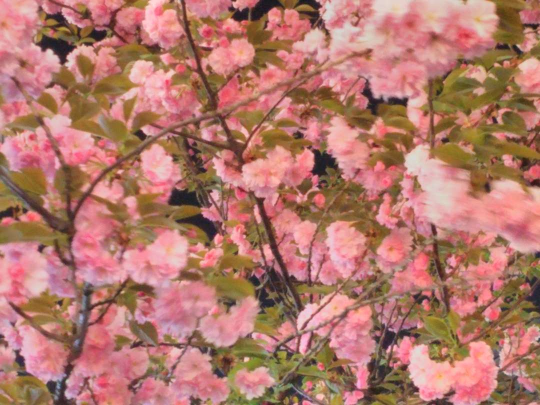 f:id:take--chan:20180407001145j:plain f:id:take--chan:20180407001145j:plain