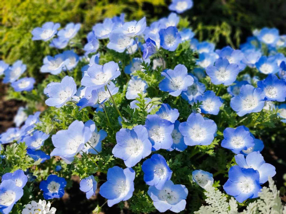 f:id:take--chan:20200422175405j:plain