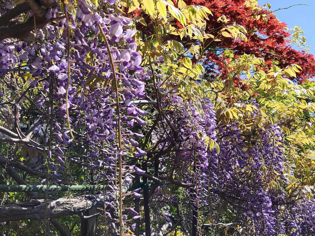 f:id:take--chan:20200422180020j:plain