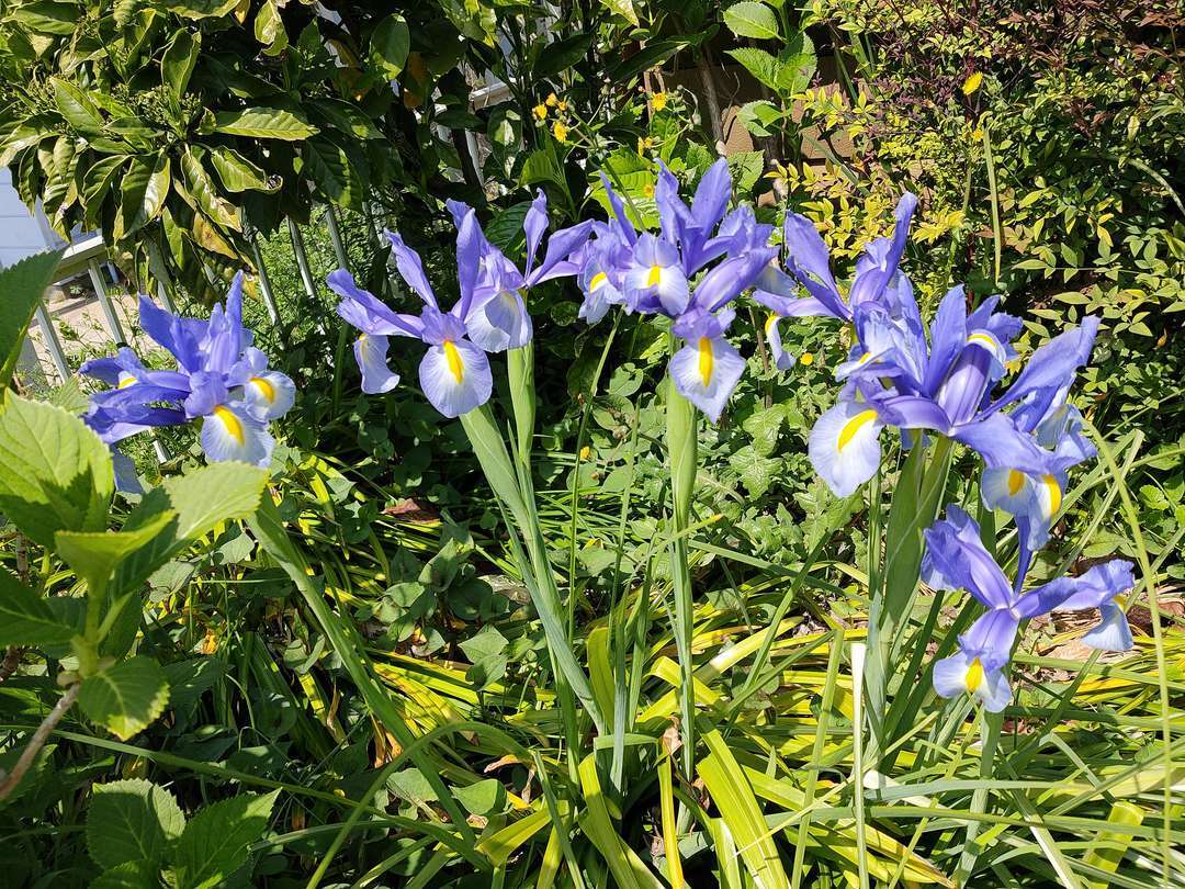 f:id:take--chan:20200422180054j:plain