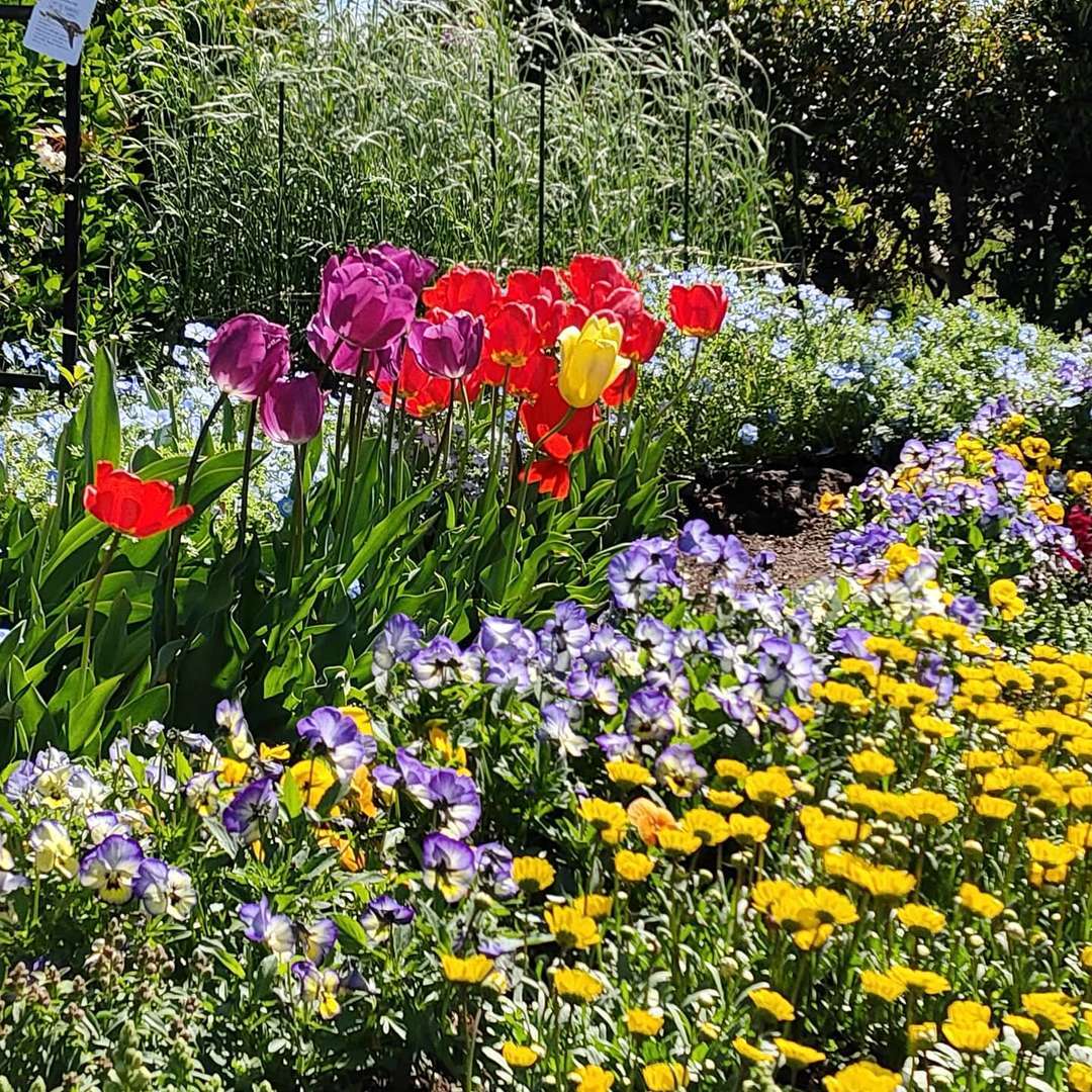 f:id:take--chan:20200422180154j:plain