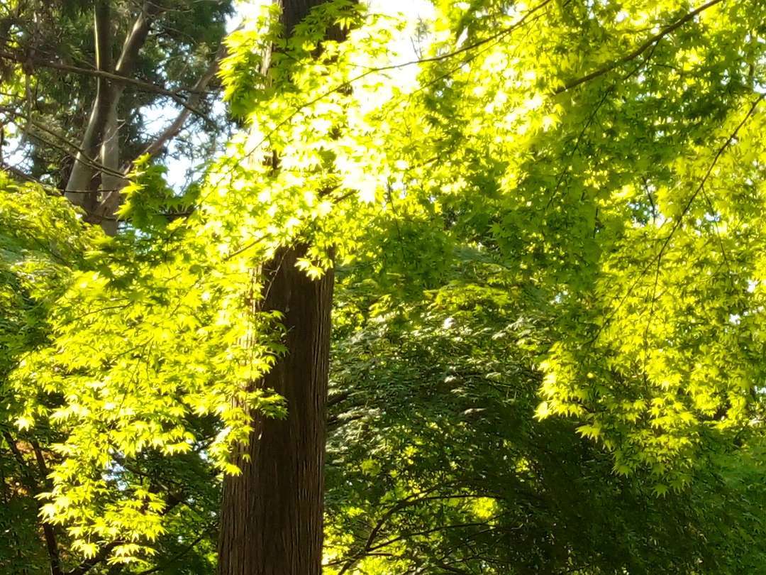 f:id:take--chan:20200427210144j:plain