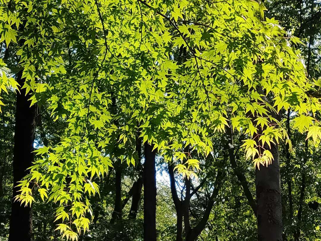 f:id:take--chan:20200427210152j:plain