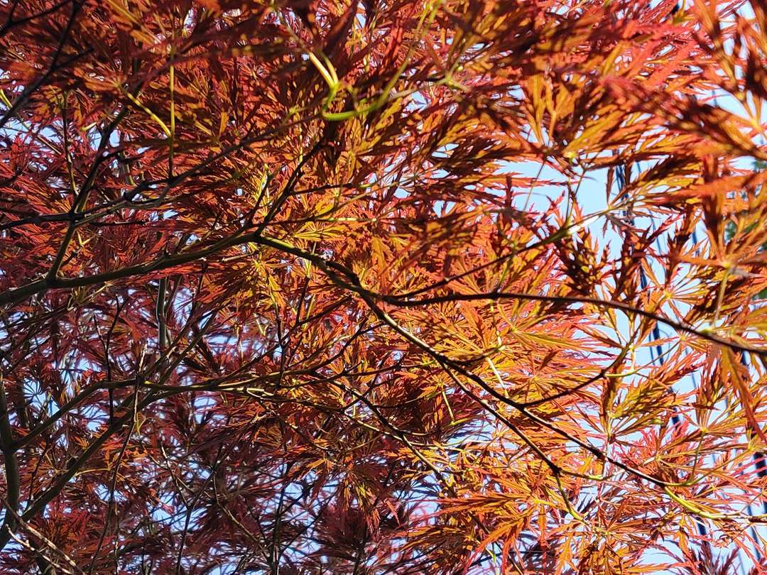 f:id:take--chan:20200427210208j:plain