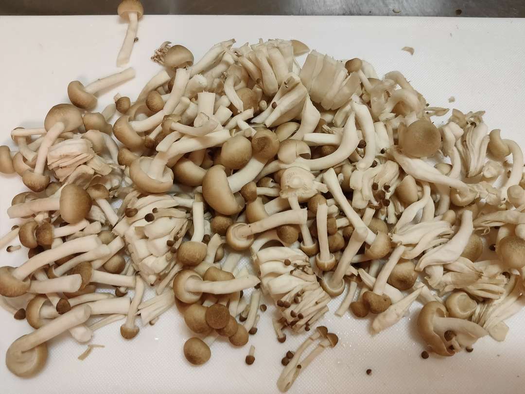 f:id:take--chan:20200917134840j:plain