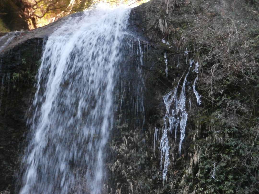 f:id:take--chan:20210106204915j:plain