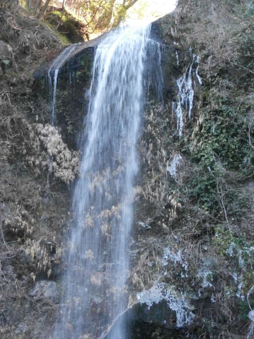 f:id:take--chan:20210106204922j:plain