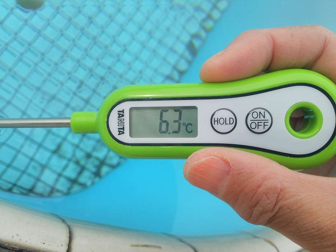 f:id:take--chan:20210111220128j:plain