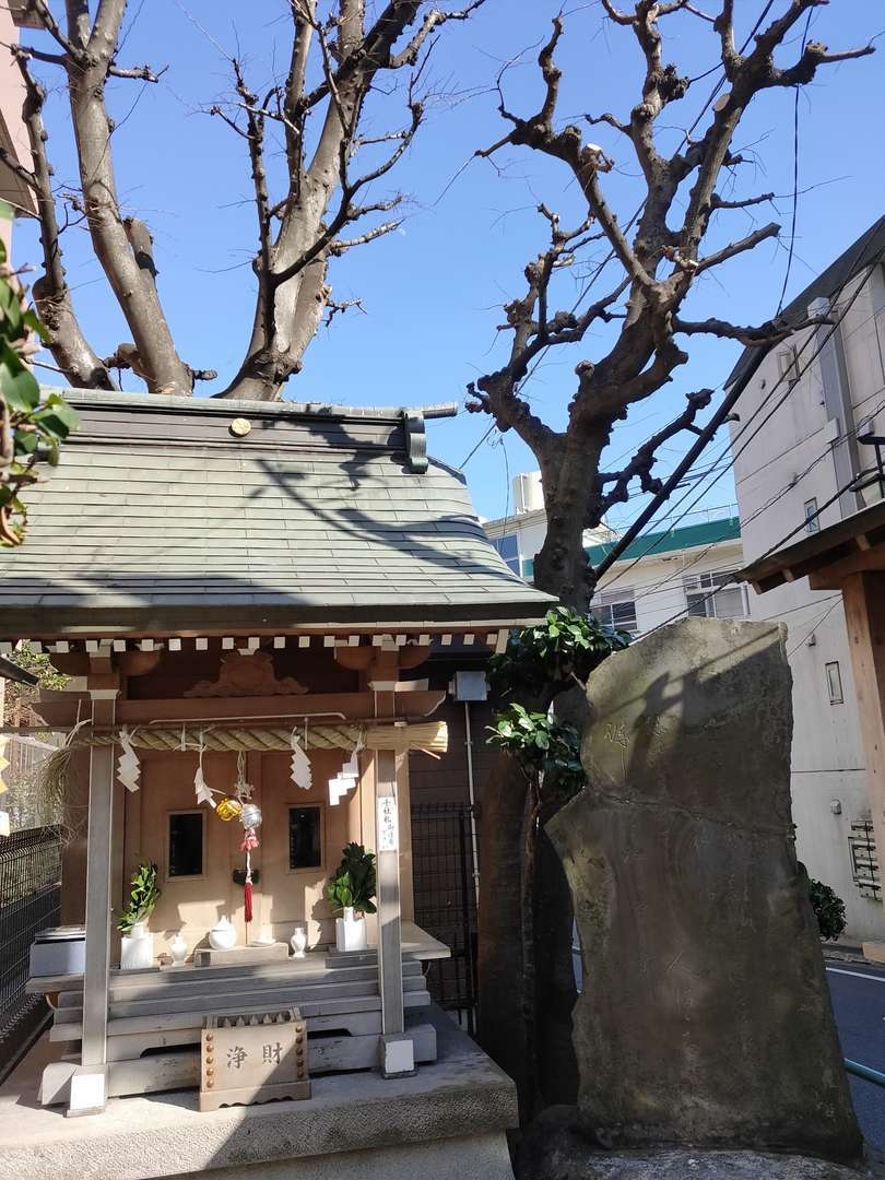 縁切榎とむすびの欅に行ってきました モラハラ妻との熟年離婚をめざして