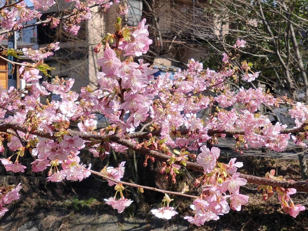 f:id:take--chan:20210223205518j:plain