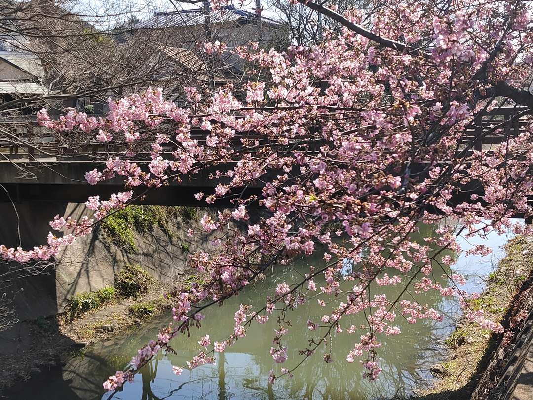 f:id:take--chan:20210223205603j:plain