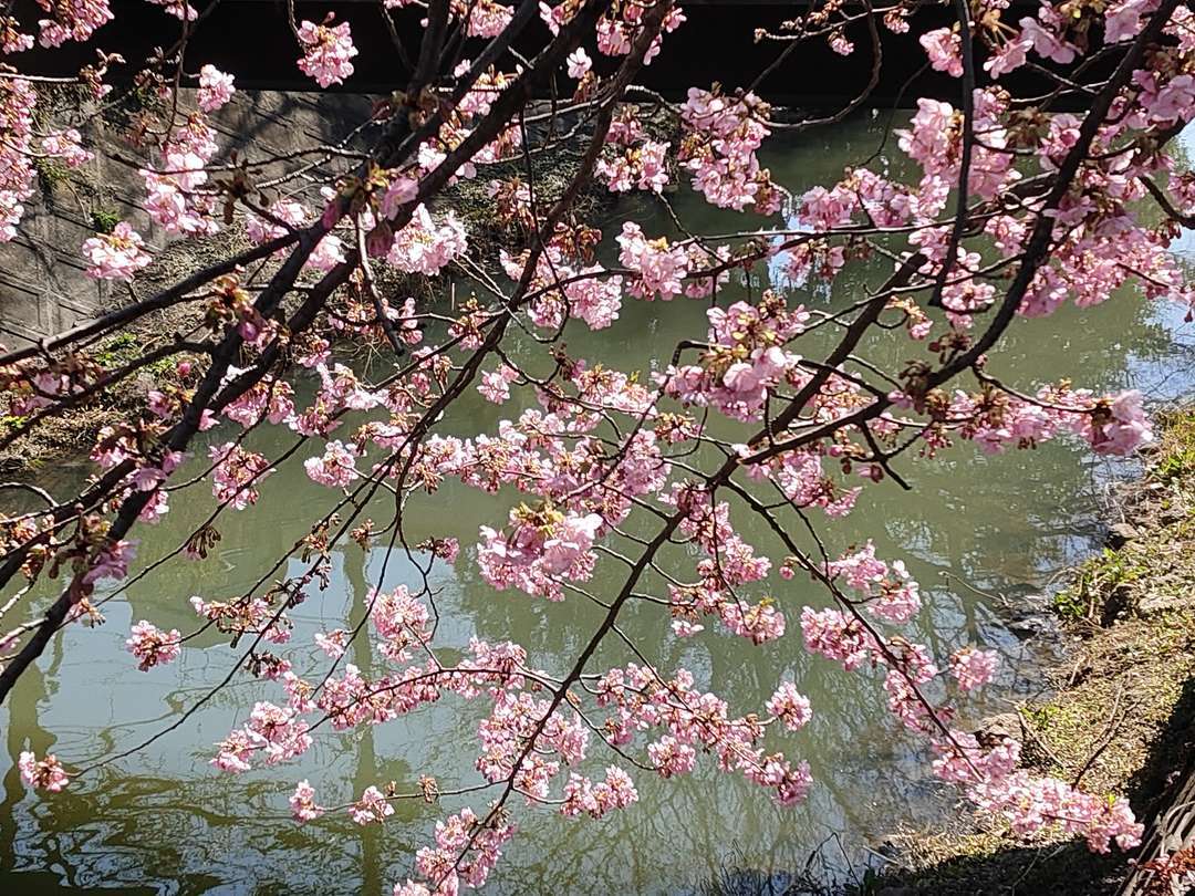 f:id:take--chan:20210223205638j:plain