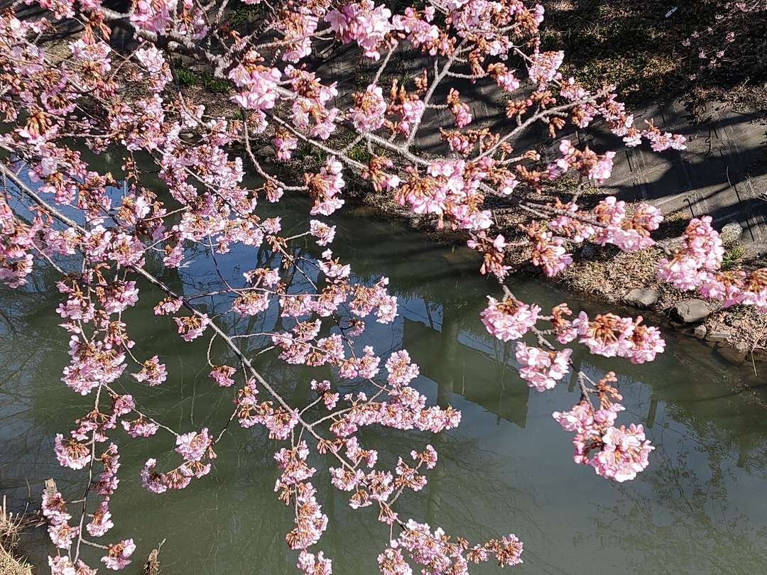 f:id:take--chan:20210223205651j:plain