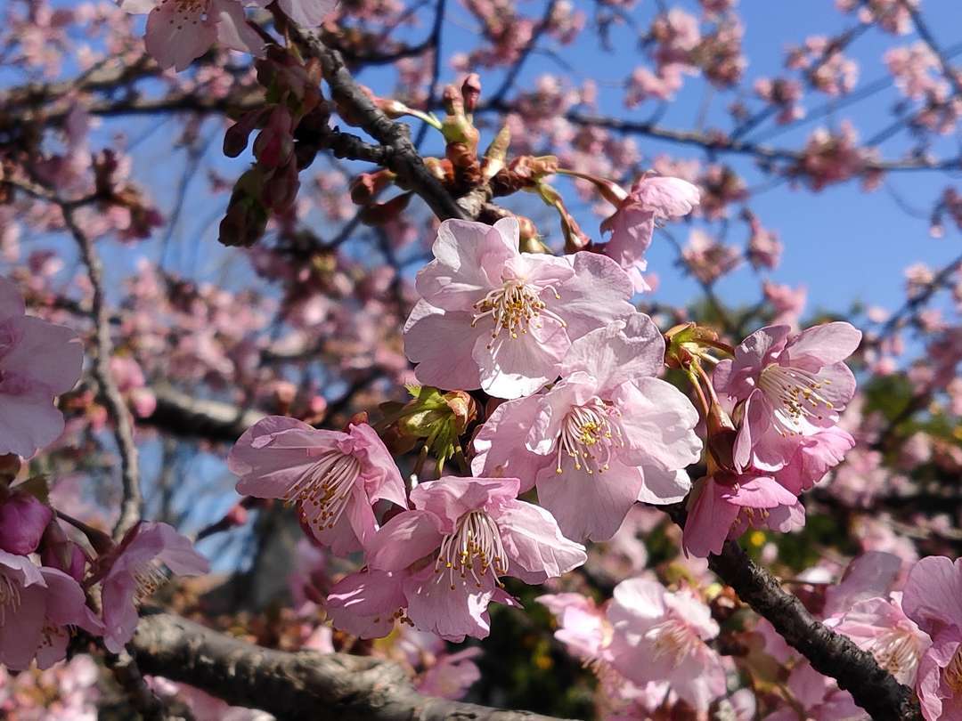 f:id:take--chan:20210223205705j:plain