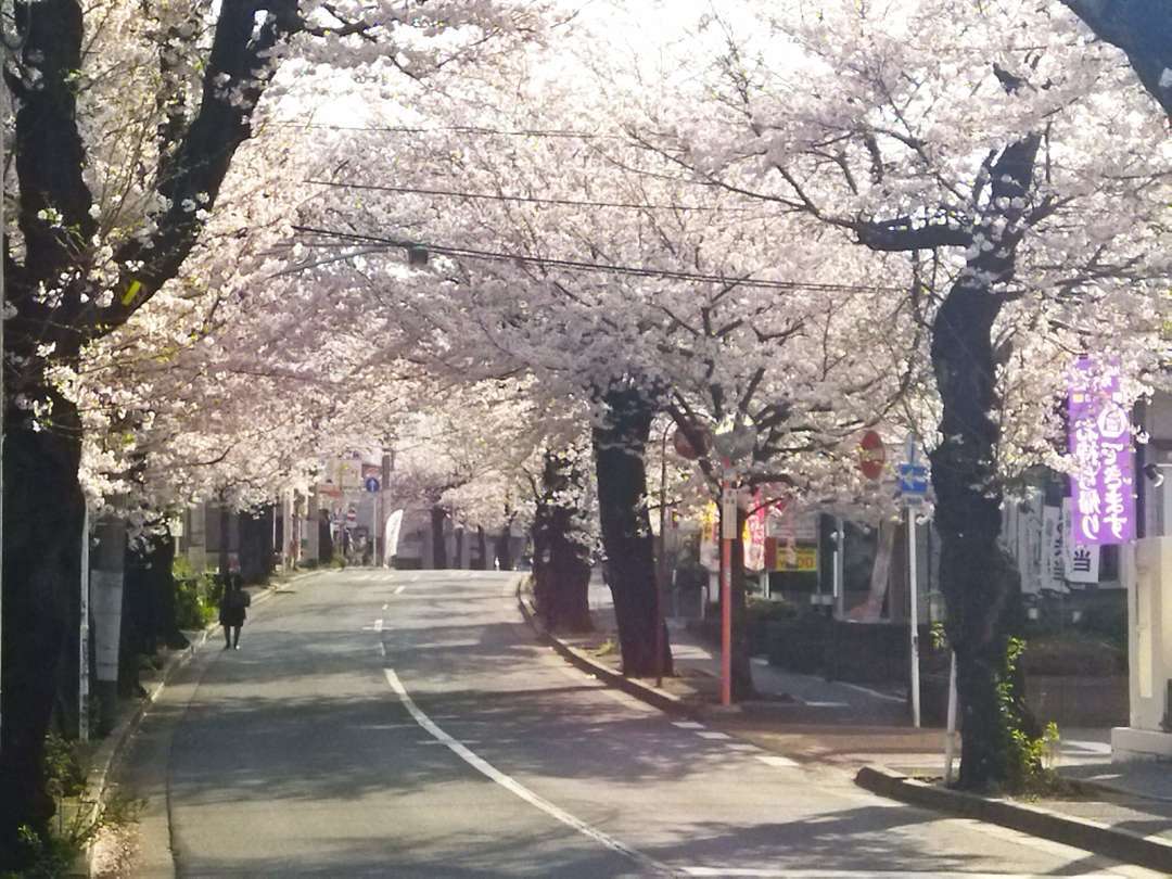 f:id:take--chan:20210413201837j:plain