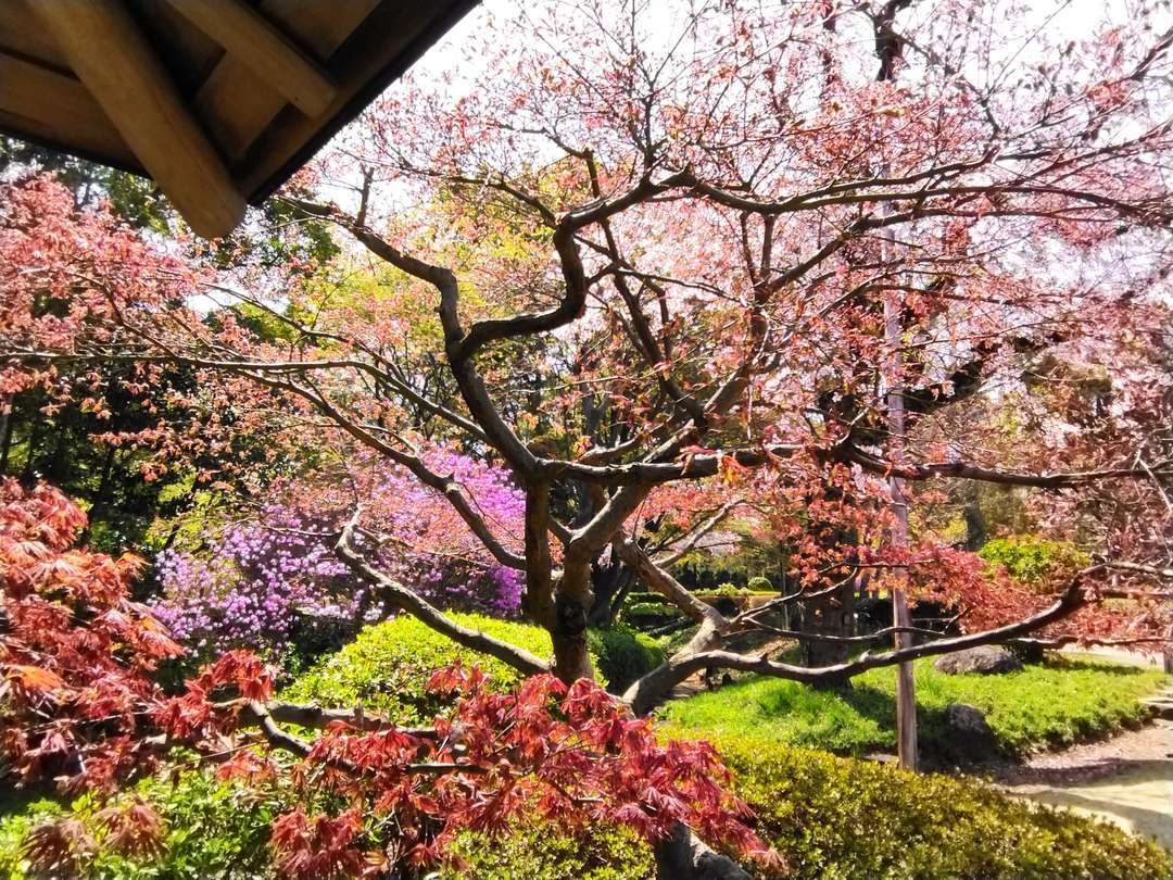 f:id:take--chan:20210413201849j:plain