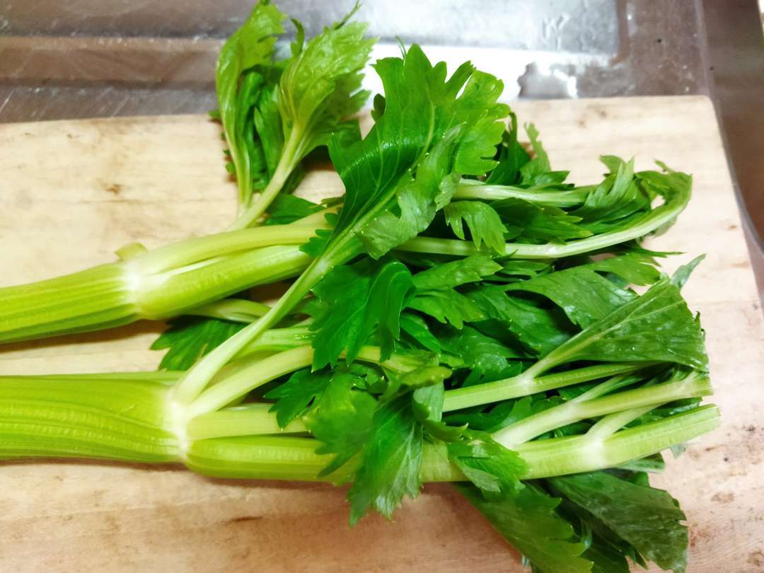 f:id:take--chan:20210620090731j:plain