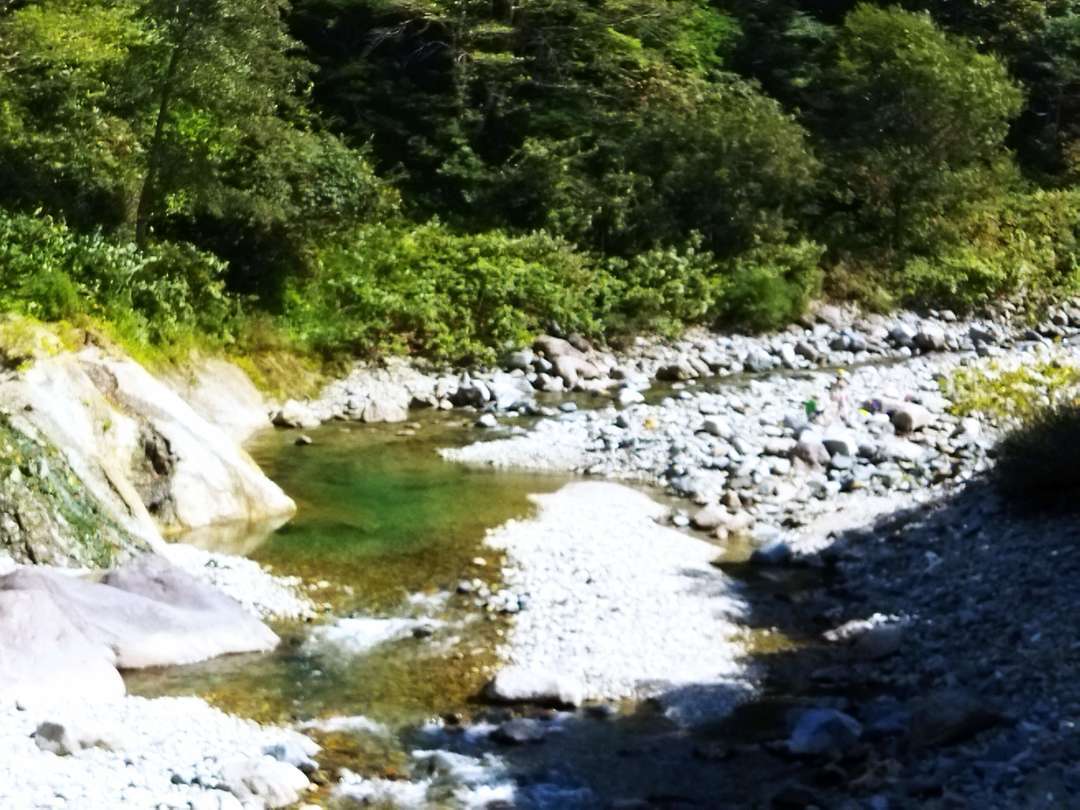 f:id:take--chan:20210918212000j:plain