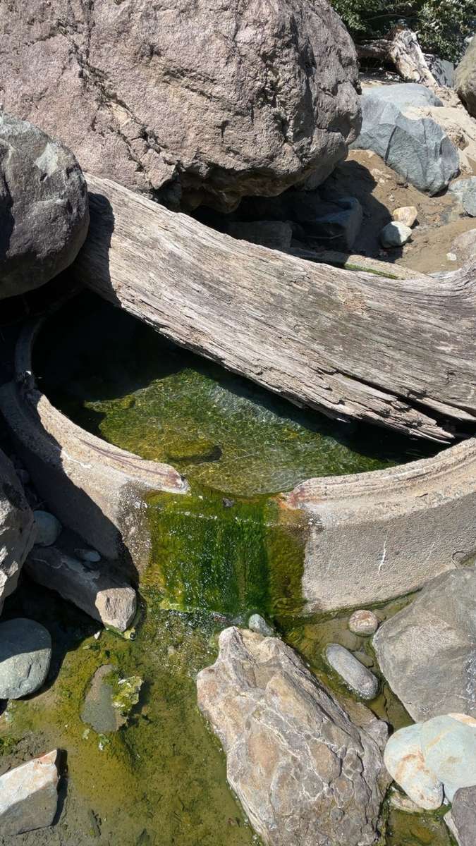 f:id:take--chan:20210925123049j:plain