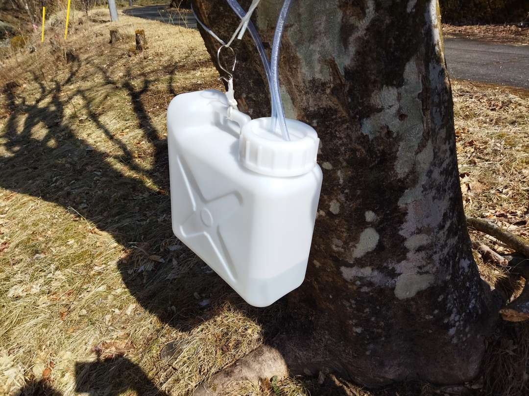 f:id:take--chan:20220314221234j:plain