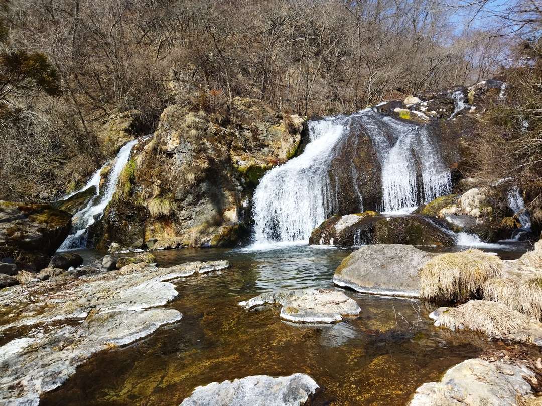 f:id:take--chan:20220314221410j:plain