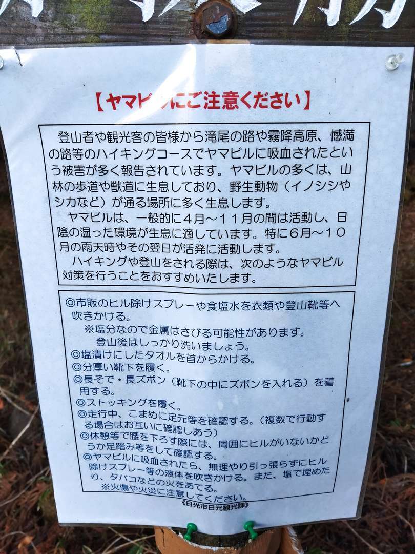 f:id:take--chan:20220314222038j:plain