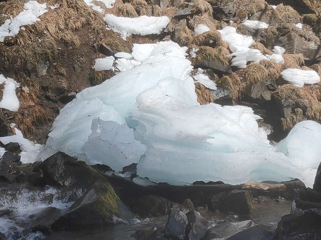 f:id:take--chan:20220314222307j:plain