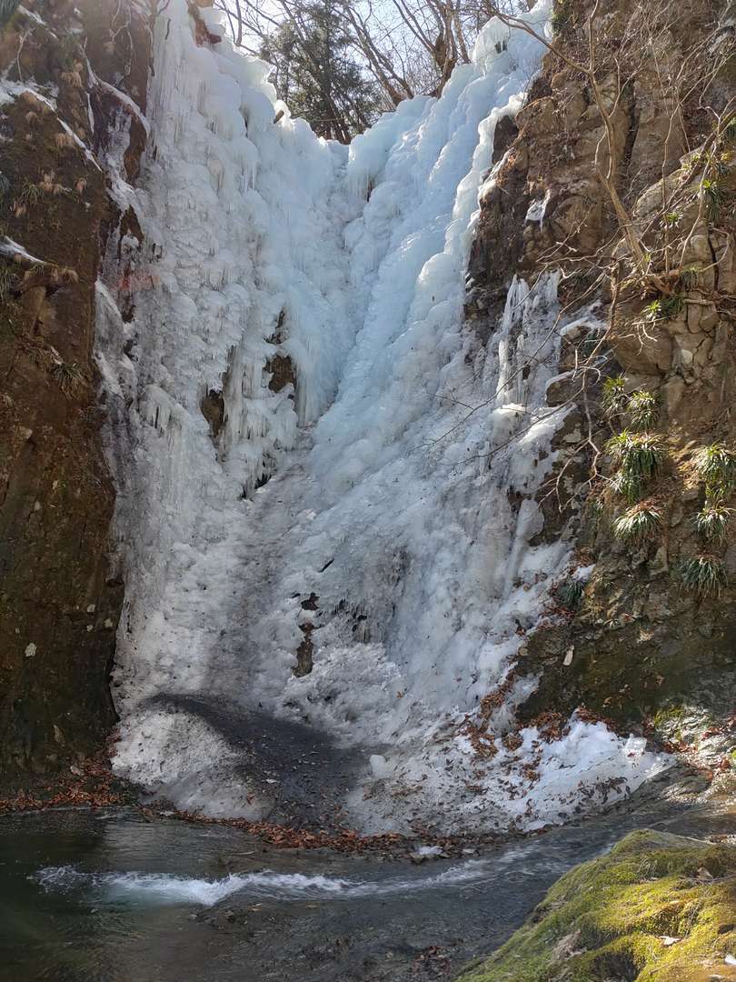 f:id:take--chan:20220314222355j:plain