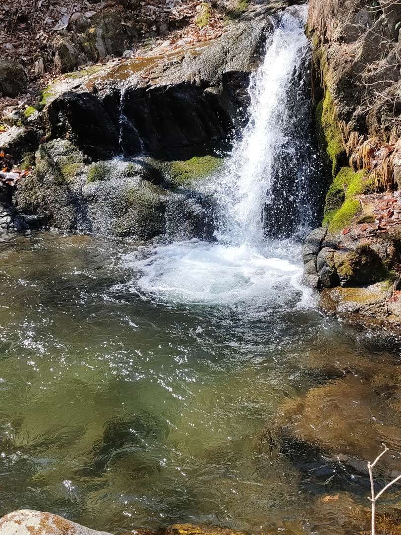 f:id:take--chan:20220314222413j:plain