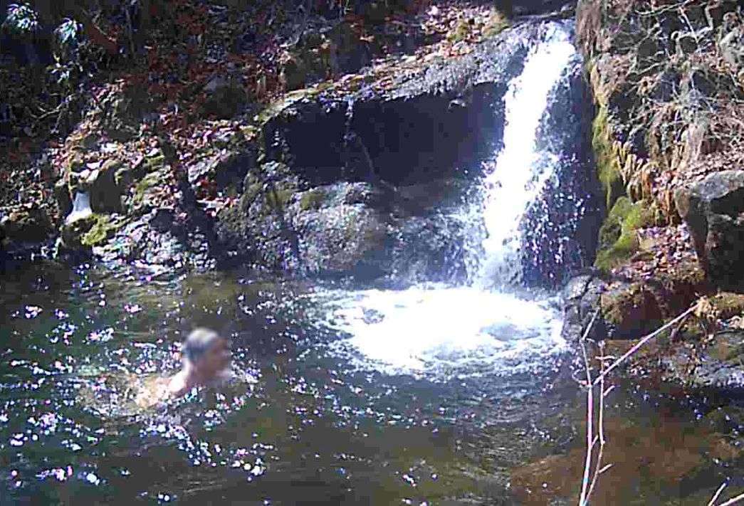 f:id:take--chan:20220314222543j:plain