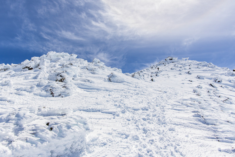 月刊少女野崎くん13巻 0巻付き特装版 の在庫や売り切れは 予約と在庫クリップ