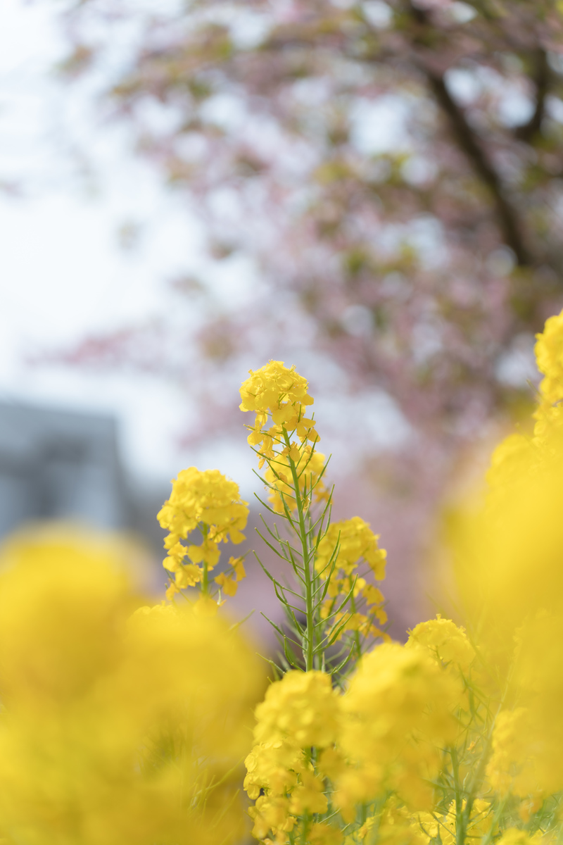 予約と在庫クリップ