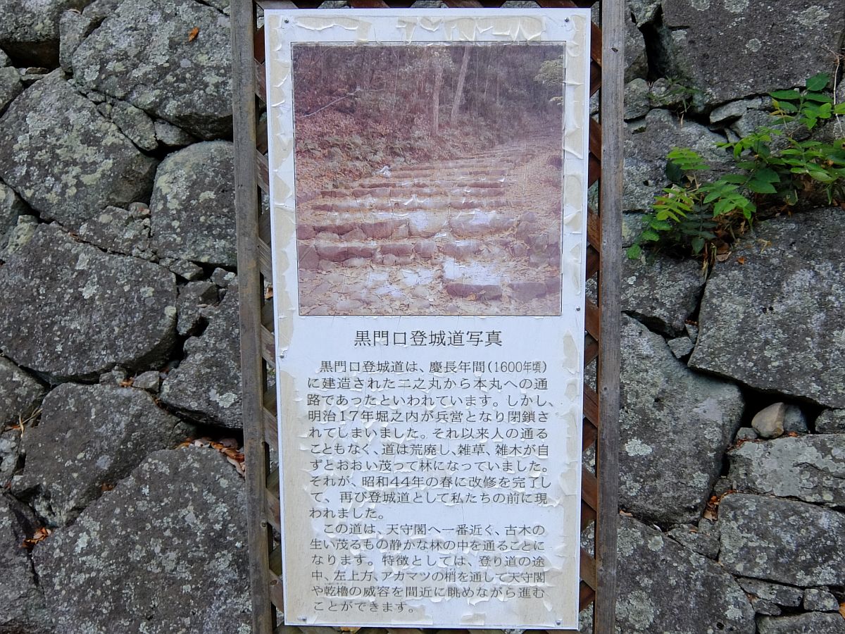 f:id:take-bin:20191015022429j:plain