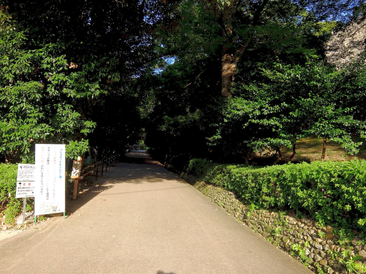 f:id:take-bin:20191015022734j:plain