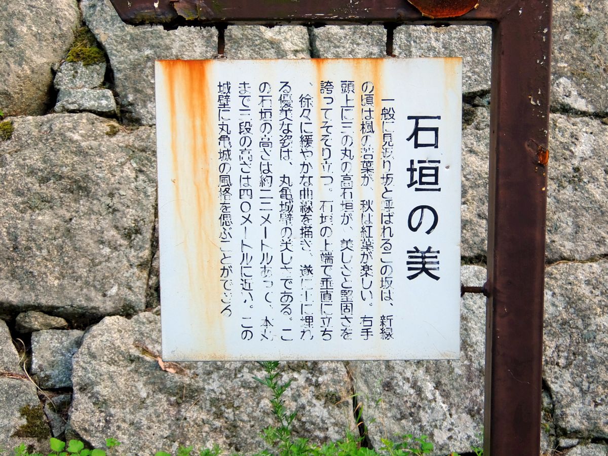 f:id:take-bin:20191015022741j:plain