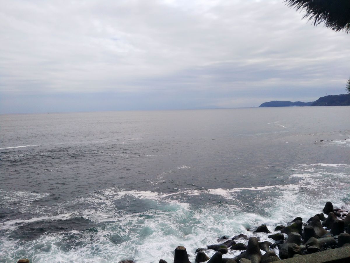 f:id:take-bin:20191113001809j:plain